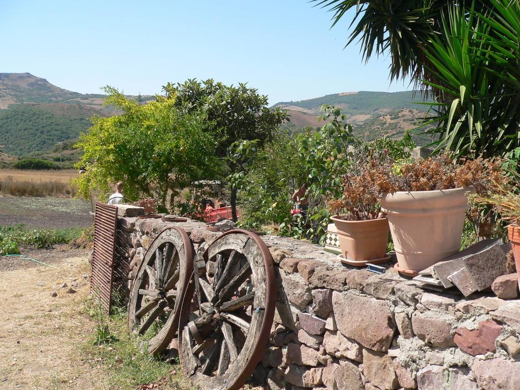 Farm stay Sa Tanca Noa Tergu