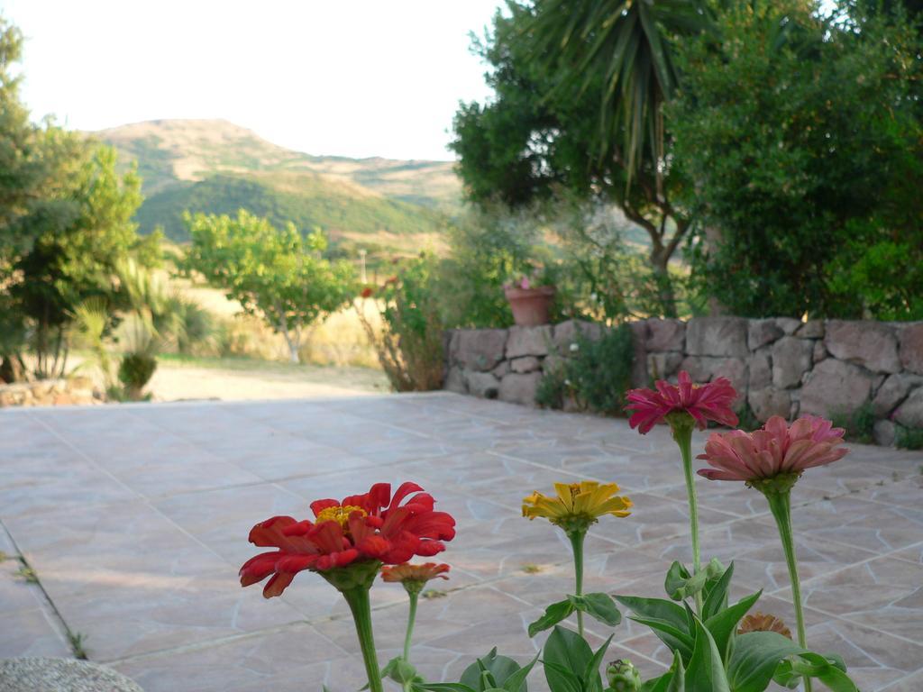 Sa Tanca Noa Farm stay *