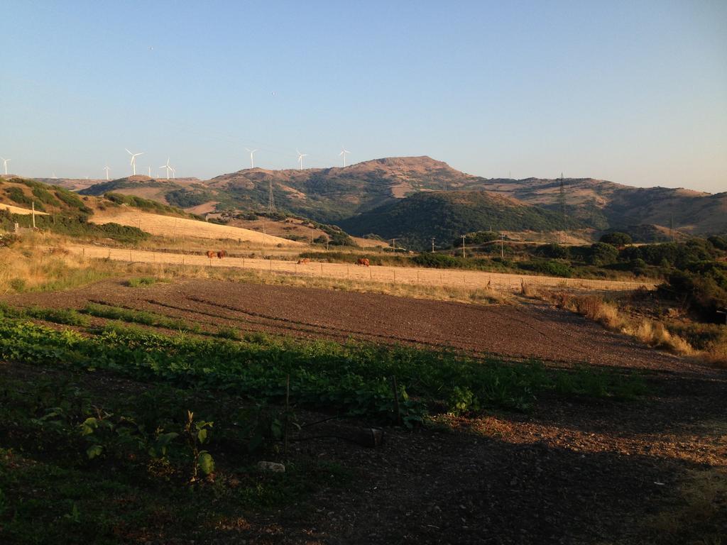 Sa Tanca Noa