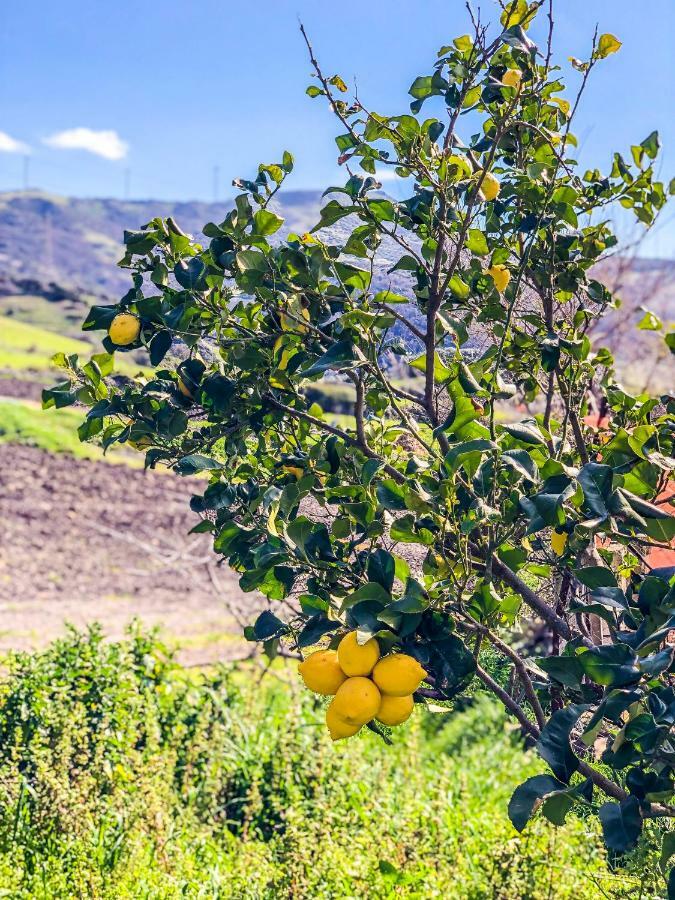 Farm stay Sa Tanca Noa
